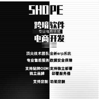 跨境電商亞馬遜無貨源鋪貨erp系統數據私有化部署個性ui界面定制